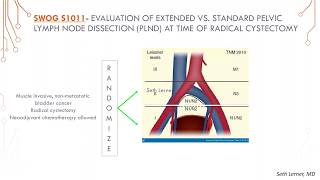 Highlighting Clinical Trials: Muscle Invasive Bladder Cancer | Part I: The Basics