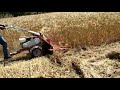 Video Image