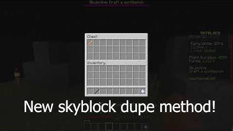 HYPIXEL SKYBLOCK DUPE! BE QUICK! UNPATCHED!