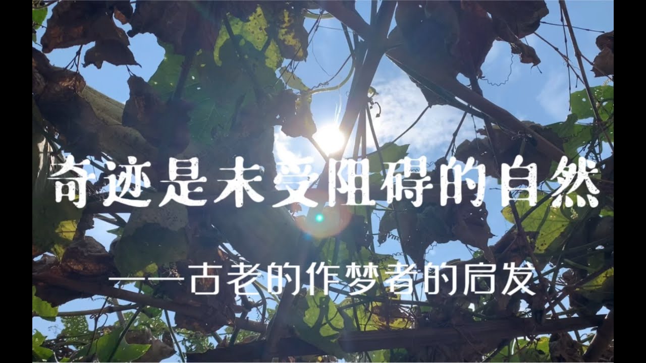 奇迹是未受阻碍的自然 ——古老的作梦者的启发 - YouTube