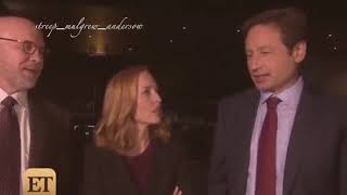 Daylight Gillovny David Duchovny X Gillian Anderson