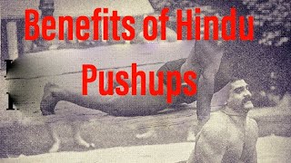 Dand Video- 5, Benefits Of Hindu Pushups.