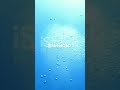 #spaceexploration