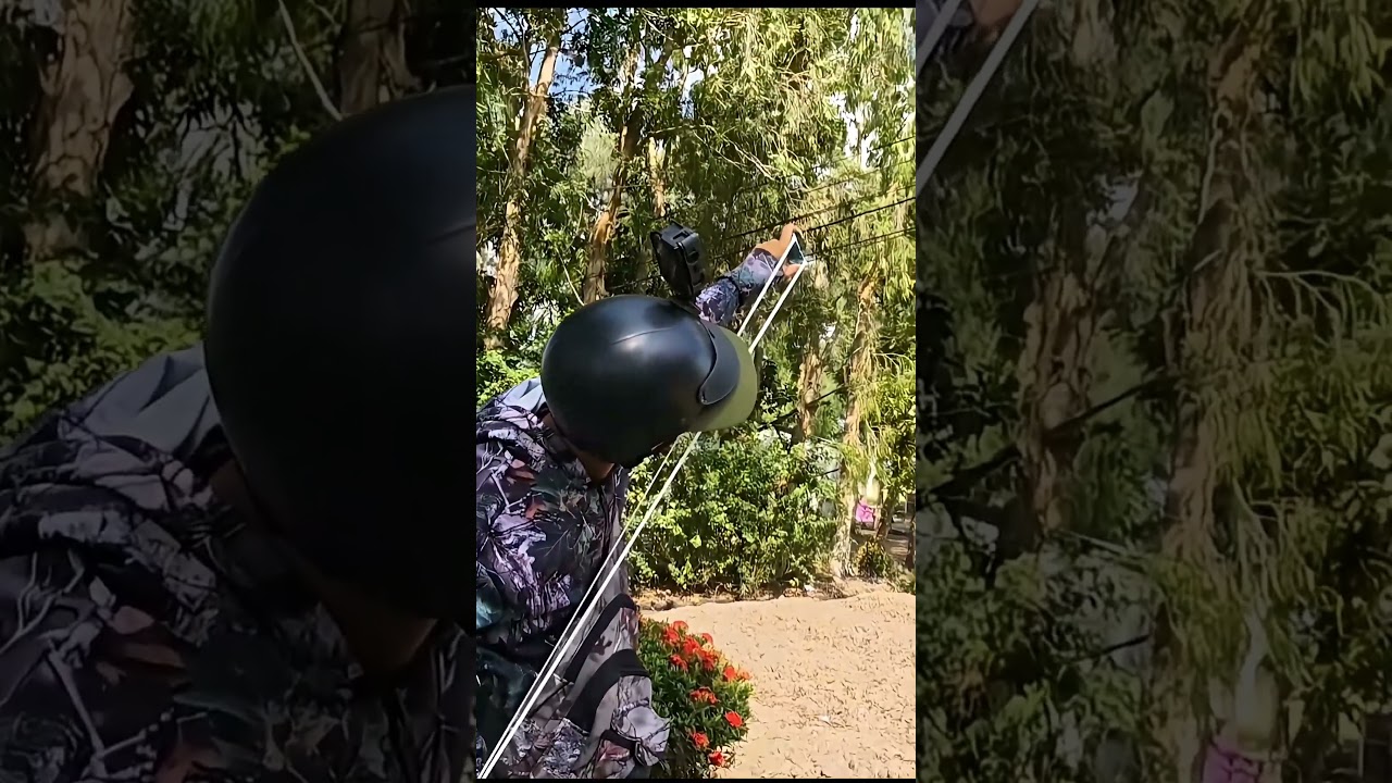 Slingshot Hunting Wild Birds 