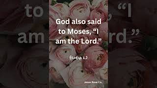 Catholic Bible Study | Exodus 6:2 | Jesus Rose Co. ✝️