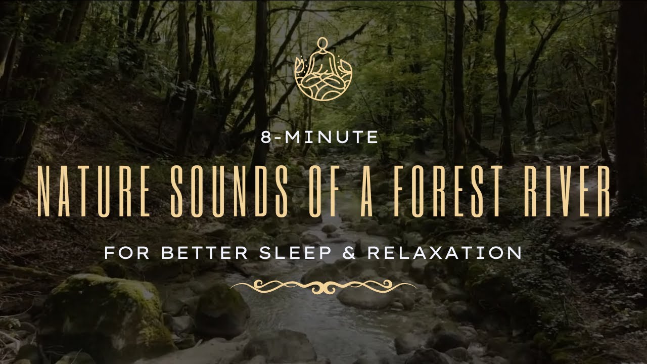 Calm Nature Sounds of a Forest River for Relaxation and Sleep - YouTube
