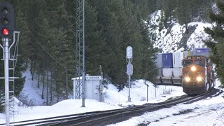 Famous (4K) International Stack Train and a Z Train at East Riverview Net Worth