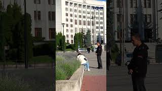У Тернополі почала квітнути лавандова клумба