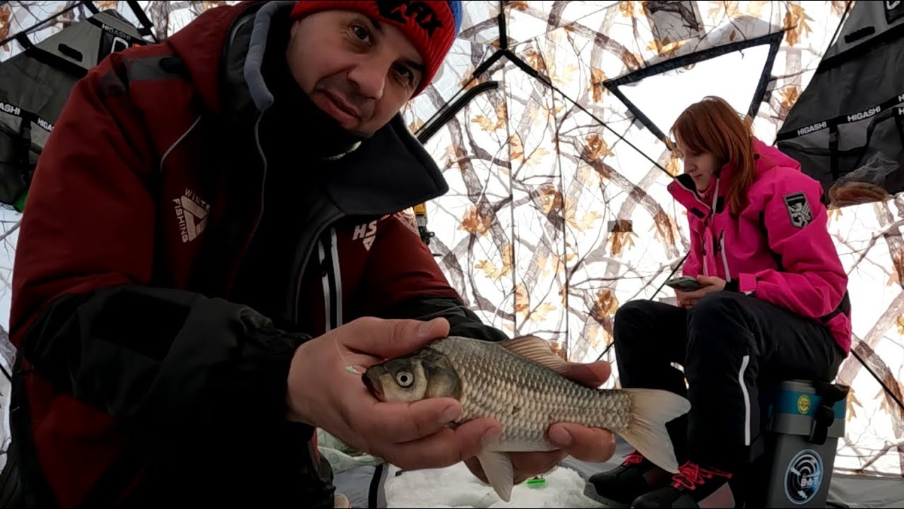 КАРАСИ на БАЛКЕ!!! За пару ЧАСОВ натягали КАРАСЕЙ на ТИХОМ пруду АЛТАЯ. Ловля карася карася со льда.