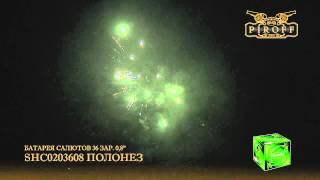 SHC0203608 ПОЛОНЕЗ