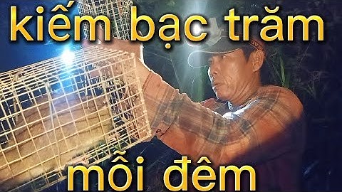 Bẫy chuột dừa| địa điểm tốt một đêm trúng mánh bầy chuột dừa #minhthiệnsóctrăng