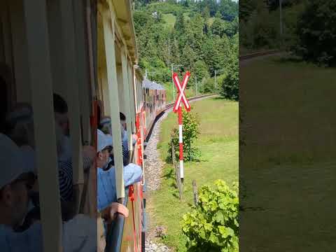 Zahnradbahn nach Heiden #Shorts 2856 #Eisenbahn #Railway #Spoorweg #Railroad #trainspotting