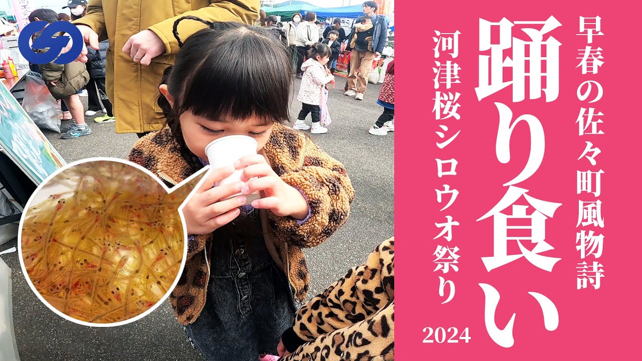 早春魚をぬるっと踊り喰い!佐々町河津桜シロウオ祭り2024 - YouTube