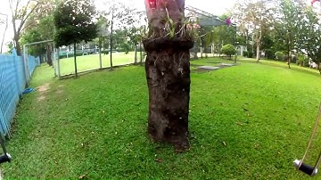 My best vdo on Hexacopter with gopro in the last 2 years