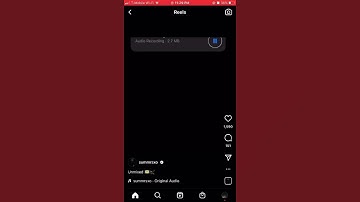 Summrs instagram deleted snippet unmixed 💵 🦅