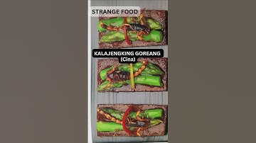 15 MAKANAN PALING ANEH DI PLANET BUMI, MAU COBAIN ?!