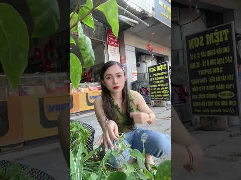 Hài vui vẻ…Nghĩ kỹ cũng lạ thiệt 🤔