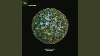 Intentions - illusionize, Ashibah