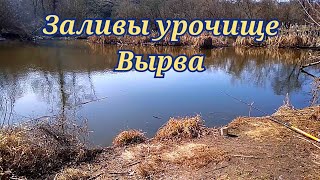 Зашла тарань Урочище Вырва!