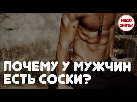 Видео: Почему у мужчин есть соски?