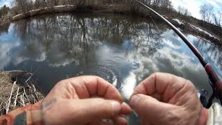 07 апреля 2019 года  Ловля плотвы в проводку на реке Десне Московская область!