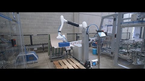 Pallettizzatore con cobot Doosan Robotics M0617 Covim Spa by Italpal Srl