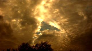 FILE0004_12-28-11_1-1-12_Yellow_D.mov