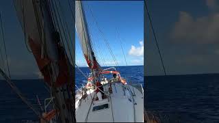 Ep. 336. Marie-Galante en vue… mais on avance à 3 kts 😅
