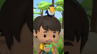 GREEN MONKEYS EXIST?! 🙉 | Leo the Wildlife Ranger | #shorts #education #kids