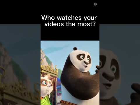 Who watches your videos ￼#meme #funny #kungfupanda