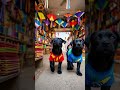 The Puppy and the Bad Customer — A Storm Inside the Kite Shop