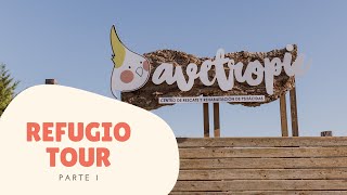 REFUGIO TOUR | Zona de Voladeras, Cocina y Taller - Os mostramos el centro de rescate de loros 🦜