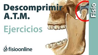 Ejercicio para descomprimir la articulación temporomandibular. A.T.M