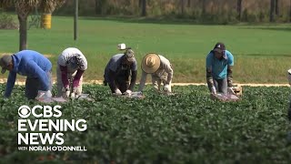 How extreme heat is taking a toll on U.S. workers