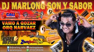 Vamo a Gozar - Orq Narvaez - DJ Marlong Son y Sabor chords