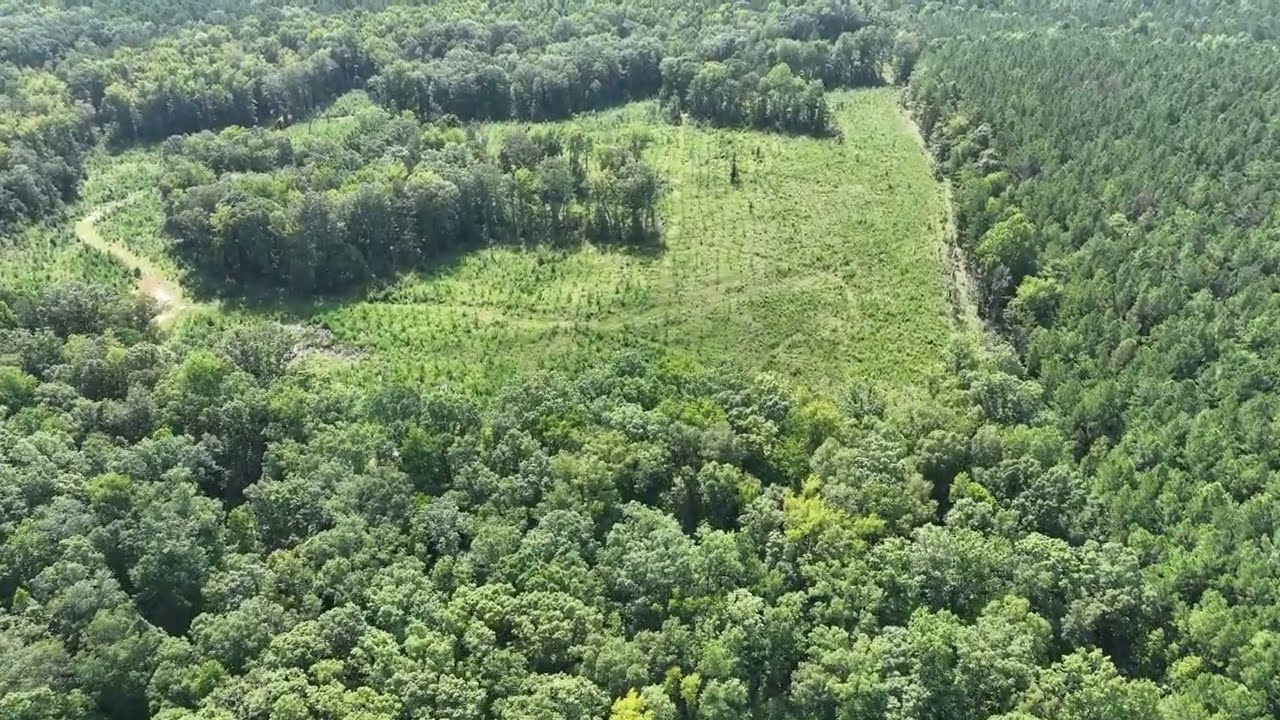 Crosby Land Company Presents: Butler, Twiggs County, Georiga