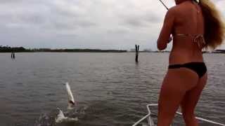 Inshore Florida Aerial Tarpon Fishing