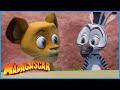 Alex helps Marty | DreamWorks Madagascar