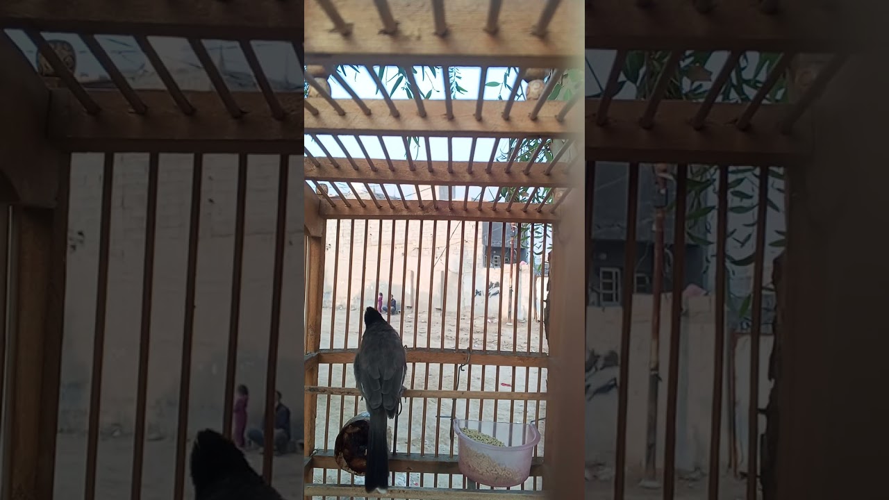 ٣٠ نوفمبر ٢٠٢٥