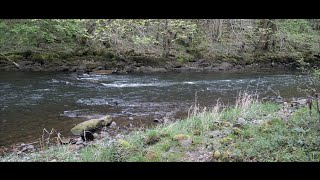 La Maronne Vers Argentat 19