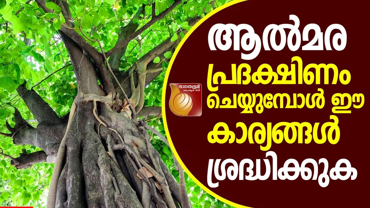 വെറുതെ ആൽമര പ്രദക്ഷിണം ചെയ്യരുത് |Almaraprathakshinam|hindu