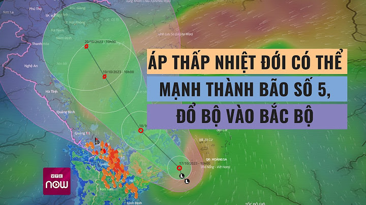 Bão số 5 ở bến tre vào năm nào năm 2024