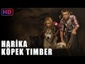 Harika Köpek Timber | Film