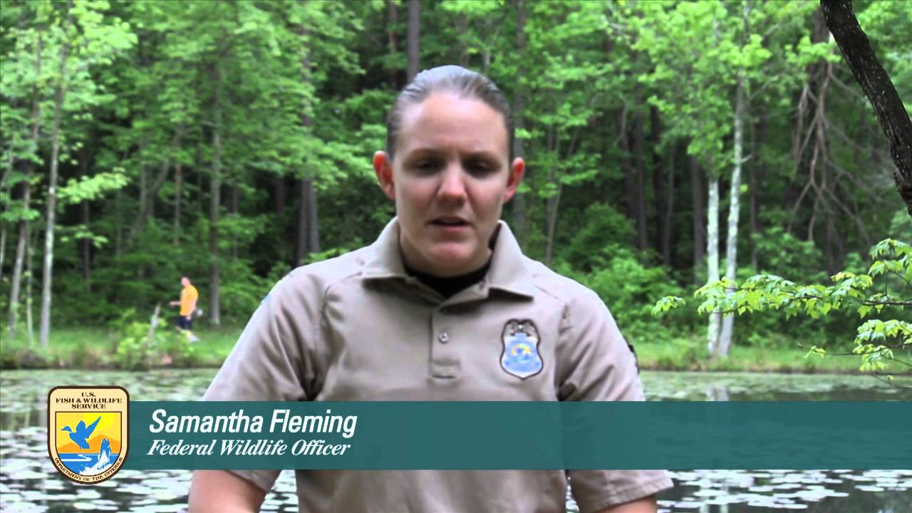 What is a federal game warden?