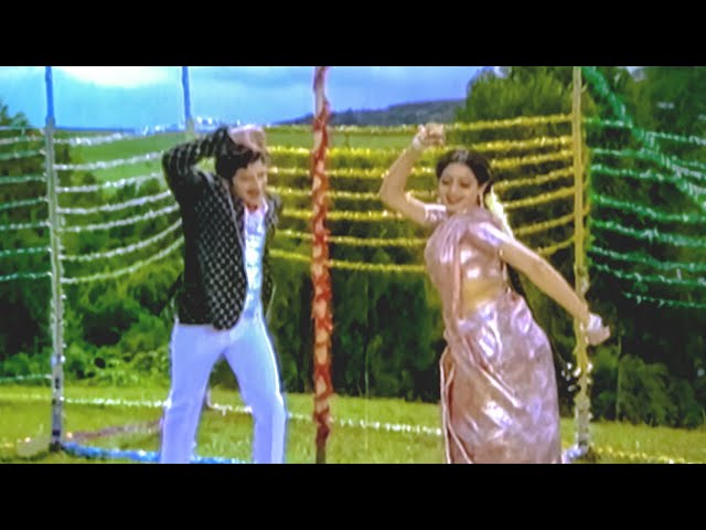 Krishna, Sridevi Evergreen Love Song - Mavoori Magadu Songs | Telugu Video Songs HD