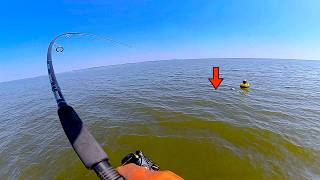 I’ve NEVER Seen TRIPLETAIL Fishing Like This!...[Catch, Clean, Cook]