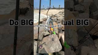 Famous Big Baits🟰Big Fish? 🤔 #fishing #shorts Wealth