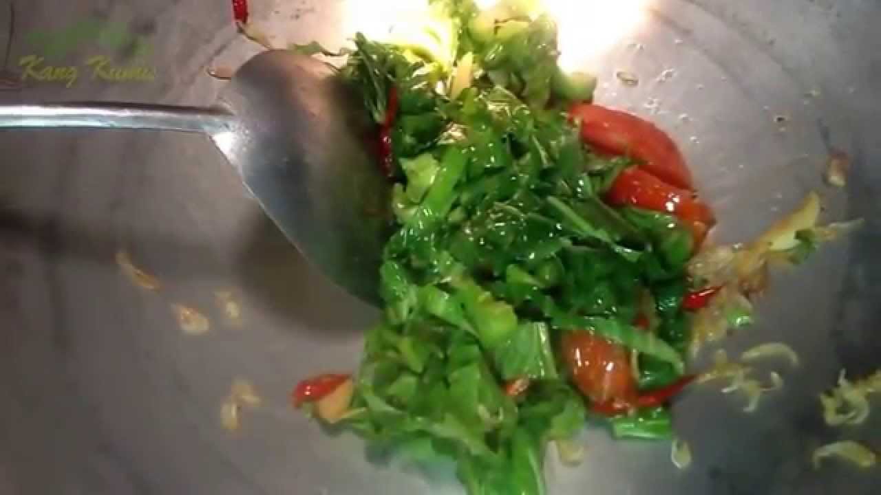  Resep Sayur Tumis Sawi Pahit Udang Rebon YouTube