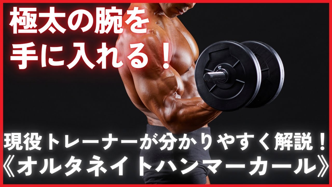 初心者向け】極太の逞しい腕を手に入れる！『オルタネイトハンマー