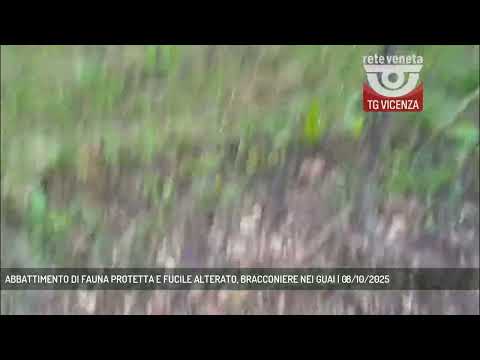 ABBATTIMENTO DI FAUNA PROTETTA E FUCILE ALTERATO, BRACCONIERE NEI GUAI | 08/10/2025